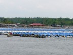 Malay fish farm.JPG (115 KB)
